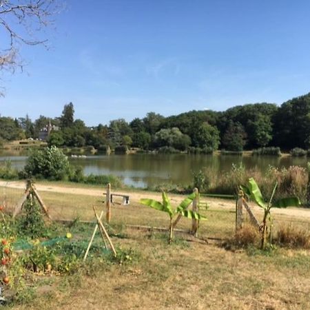 Maison Face A L'Etang Precy Екстер'єр фото